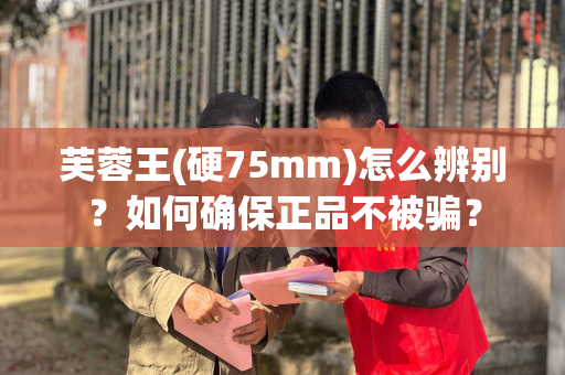 芙蓉王(硬75mm)怎么辨别？如何确保正品不被骗？